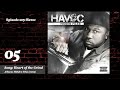 top 10 havoc songs bestlist 203