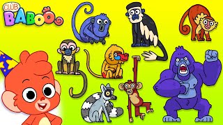 Animal Puzzle with lots of Monkeys and more cute animals! | Club Baboo