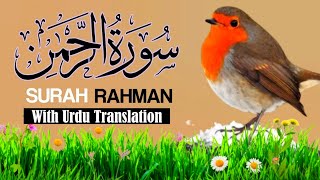 SURAH RAHMAN TARJUMA K SATH | BY QARI Al SHAIKH MUHAMMADI | QURAN TILAWAT BEAUTIFUL VOICE 🌷