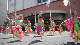 12 夢天翔 おどるんや～紀州よさこい祭り～2019 モンティグレ演舞場