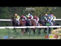 【競馬】天皇賞（秋）ラブリーディ快勝！今年重賞6勝