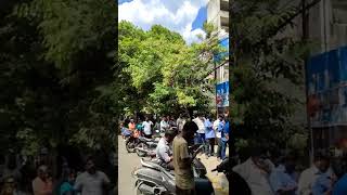 Most Famous Road Side Chicken Biryani Eating Challenge | Mutton |Chennai Street Food #shorts #foodie