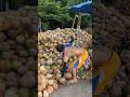 Amazing dry coconut peeling - Thai fruit