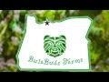 CANNABUZZ GARDEN SESSIONS with Nick From BulaBuds Farm