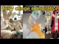 tiktok furry Cringe Compilation #4🍑