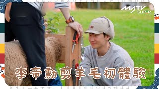 #芬蘭租屋生活｜李帝勳剪羊毛初體驗｜第7集｜tvN (頻道505) ｜CJ ENM 點播區   緊貼韓國上架