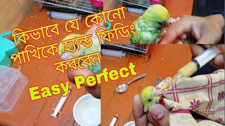 কিভাবে যে কোন পাখির বাচ্চাকে হ্যান্ড ফিডিং করবেন?কিভাবে বাজরিগার পাখির বাচ্চাকে হ্যান্ড ফিডিং করবেন?