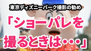 【ディズニー写真】ディズニーパーク撮影のススメ　今日の一言【カメラ設定】