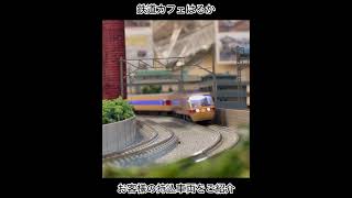 381系シーン3【鉄道模型Nゲージ走行】鉄道カフェはるか#鉄道模型#鉄道カフェはるか#nゲージ #Model railway warehouse