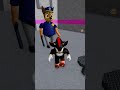 ROBLOX GAME PLAY _ PAW PATROL POLICE GIRL PRISON RUN #gamingshorts #viralshort