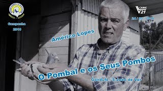 Columbofilia / O Pombal e os Seus Pombos / Américo Lopes (Fev. 2019) / VL21