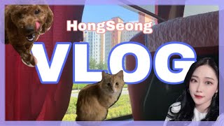 [Haryeong Vlog] 홍성에서의 4박 5일❤️ (먹킷리스트, 흑발염색, 카트라이더 러쉬플러스)