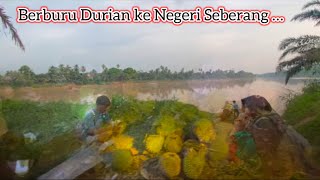 Musim Durian., kita langsung ke Kampung Durian nya … #buah #durian #desa #hunting #explore