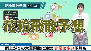 【花粉飛散予想】雨上がりの大量飛散に注意 ”多い”〜”非常に多い”予想