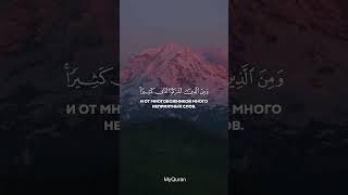 Красивое чтение Корана чтец: Махди Аш-Шишани сура:Алю-Имран аят:186 #quran #youtubeshorts #ислам