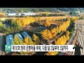 제10회 청라 은행마을 축제 다음 달 2일부터 3일까지｜ tjb 대전·세종·충남뉴스