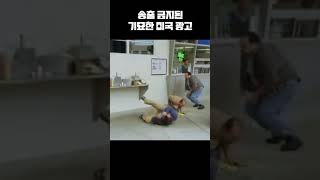 미국에서 송출금지당한 광고 레전드 ㅋㅋㅋㅋ