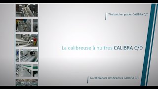 Calibreuse à huitres VIDEO quadruple ligne huitre, CALIBRA CD -#agroalimentaire