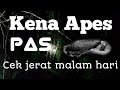 Cek jerat ayam hutan malam hari,Begini jadinya!@Banuarimba