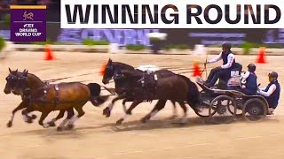This is the Driving Champion 2019/20 | FEI Driving World Cup™ FINAL (Bordeaux | FRA)