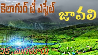 Kelagur to Javali journey #Subbu From Sivapuram # Kelagur Tea estate 🍵🍵🍵 # Kelagur Videos # Javali