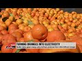 seville s leftover oranges turned into electricity