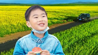 Fengfeng funny travels stories 楓楓去大草原旅行