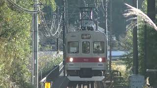 【東急塗装カッコよ】伊賀鉄道 200系(203F) 伊賀神戸行き  伊賀神戸付近にて