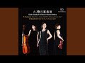 Piano Trio in A Minor, Op. 50: II B. Variazione Finale e Coda: Allegro risoluto e con fuoco -...