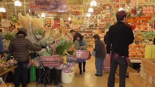 南房総の道の駅ローズマリー公園　産直新鮮野菜み～つけた！