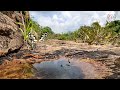 beautiful butterflies of sunabeda wildlife sanctuary nuapada part 2