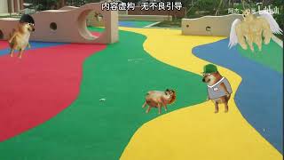 規則怪談：紅燈籠幼兒園（二）