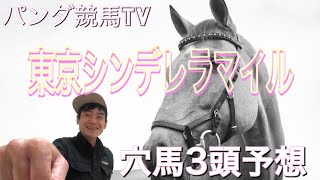 【東京シンデレラマイル 2021】穴馬3頭予想〜パンダ競馬TV