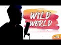 Wild World - Mr. Big | Acoustic cover