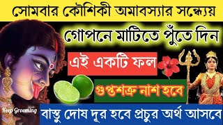 কৌশিকী অমাবস্যা দিন গোপনে এই ১ টি ফল মাটিতে পুঁতে দিন বাস্তুদোষ নজর দোষ কাটবে প্রচুর অর্থ আসবে।