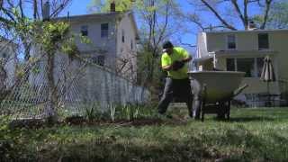 Perfection Landscaping - How Much Bark Mulch to Lay Down