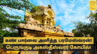 பார்வை அருளும் பெருங்குடி அகஸ்தீஸ்வரர் கோயில் 👁️👁️ Agastheeshwarar Perungudi | Chithiram Pesuthada