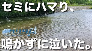 【渓流トラウト】セミルアーのトップウォーターが面白過ぎて、多用しまくった男の末路はこちらです。