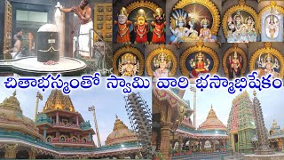 Vlog II చితాభస్మంతో స్వామి వారికి అభిషేకం చేస్తారు ఇక్కడ II ఇన్నాళ్ళకు చూసా ఈ గుడిని II తప్పక చూడండి