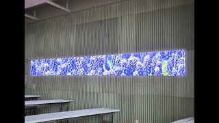 [RCH] 포항 카페 오브레멘 LED 전광판 설치 (Cafe OH!BREMEN in Pohang LED Display)