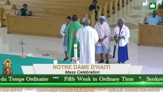 Mass Celebration // Thursday of the Fifth Week in Ordinary Time // 02.13.25