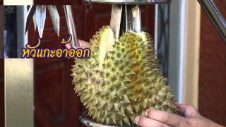 เครื่องแกะทุเรียน แกะทุเรียน เครื่องปอกทุเรียน ปอกทุเรียนDurian opener