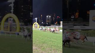 香港跑馬地馬場，近距離觀看賽馬終點前衝刺。Hong Kong's Happy Valley Racecourse, a close-up view before the finish line.