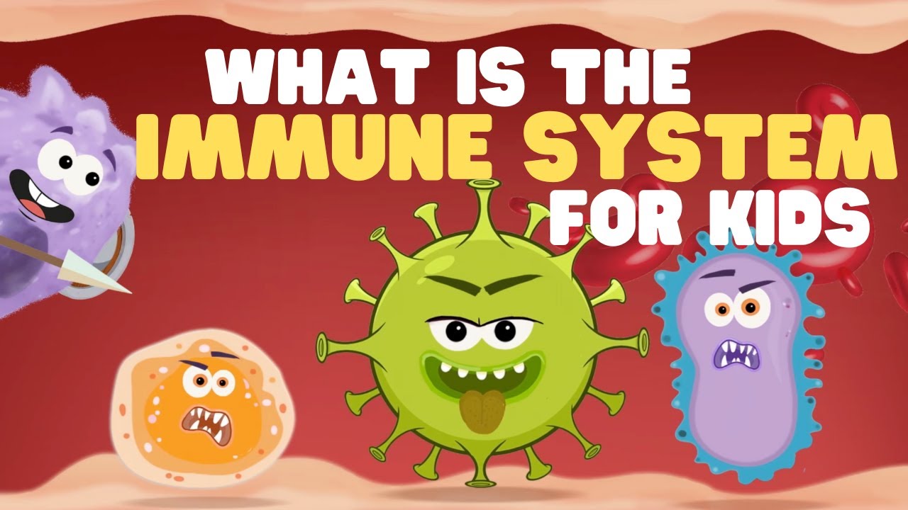 What Is The Immune System For Kids | Learn All About How The Body ...