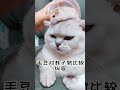 猫鼠同养注意细则！ 萌宠出道计划