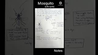 Mosquito | Life Cycle |  Vector | Disease | Life cycle of Mosquito.