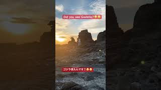 Did you see Godzilla?😳ゴジラ見たんですか？😳#funny #trending #shorts#japan #秋田県#秋田市#foryou