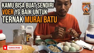 BUAT SENDIRI !!! VOER KAYA AKAN VITAMIN DAN NUTRISI UNTUK TERNAK MURAI BATU