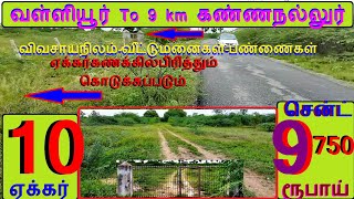 வள்ளியூர் To 9 km கண்ணநல்லூர் 10 ஏக்கர்.சென்ட் 9750 ரூபாய்.பஸ்ரோடு.EBப்ரீ.கிணறு.வேலி-649-021.11.29