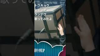 防音室被って歌ってみた/トウキョウシャンディランデヴ